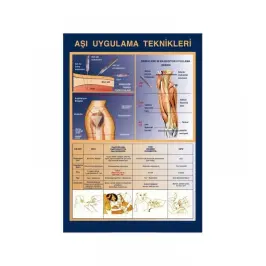 Aşı Uygulama Teknikleri Talimatnamesi (A4) - 