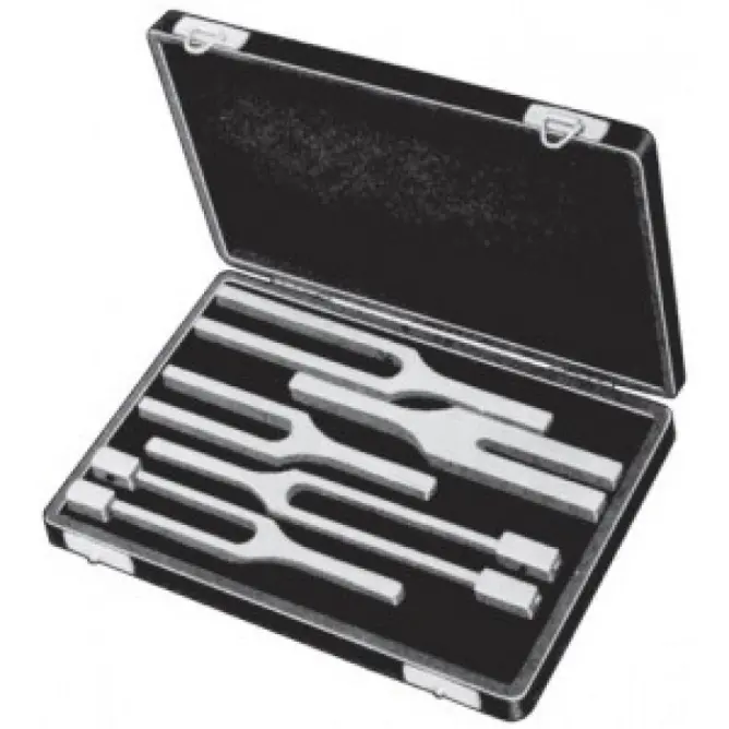 Diapozon Seti 5'li - 1