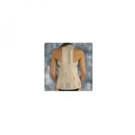 Dorse Lomber Korse - 