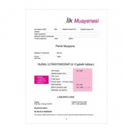 Gebe İzlem Formu - 1