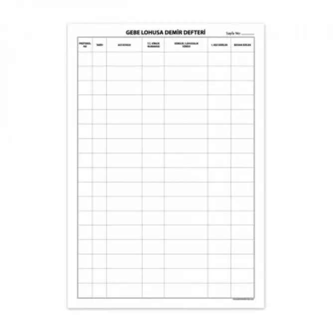 Gebe Lohusa Demir Kayıt Defteri - 1