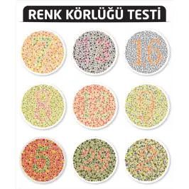 Renk Körlüğü Skalası - 