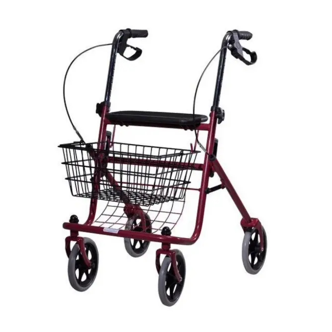 Tekerlekli Yürüteç (Rollator) 8017 - 1