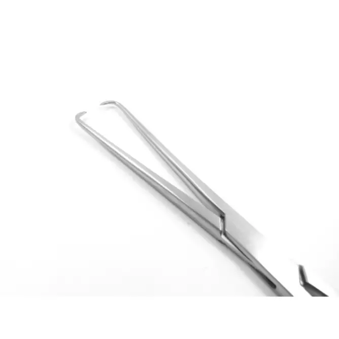 Tenekulum (Tek Dişli, 25cm) - 1